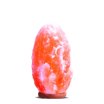 Natural Salt Lamp nsl-806-1