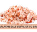 Himalayan Edible Salt